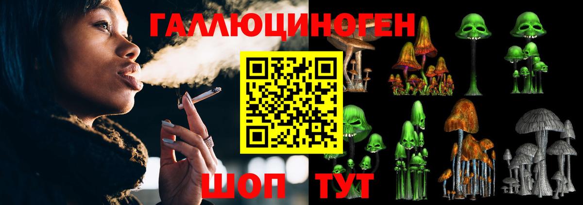Псилоцибиновые грибы MAGIC MUSHROOMS Скопин
